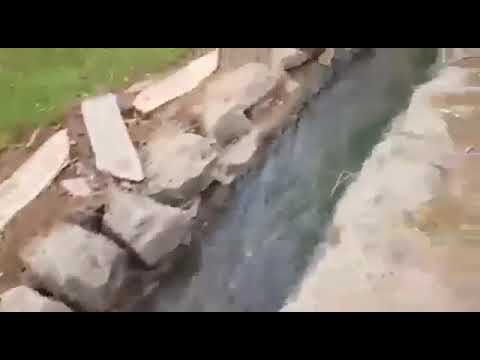 هذه مزرعة المستظل بقباء