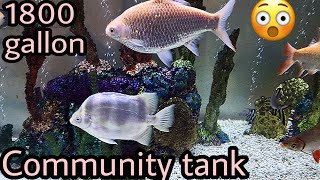 monster comunity tank - 1800 gallons - 20 foot long at ohio fish rescue