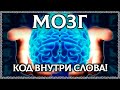 ЧТО ТАКОЕ МОЗГ? Буквица открывает тайну слова мозг! ОСОЗНАНКА