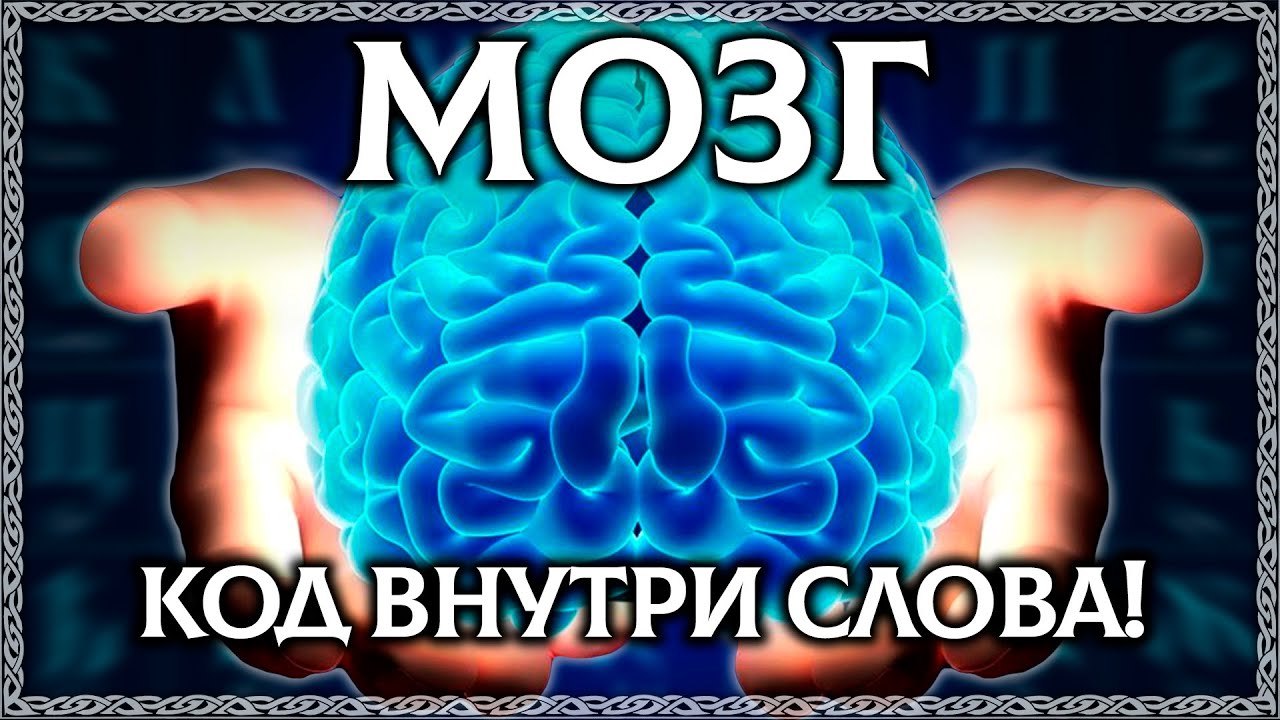 Слово brain