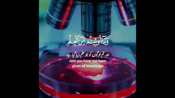 📜وما أوتيتم من العلم إلا قليلا📚✨ سورة الإسراء:٨٥|شريف مصطفى|Surah Al Israa:85|Sherif Mostafa