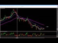 Forex Trading Signals Live - [1,029 Forex Indicators In 1 ...