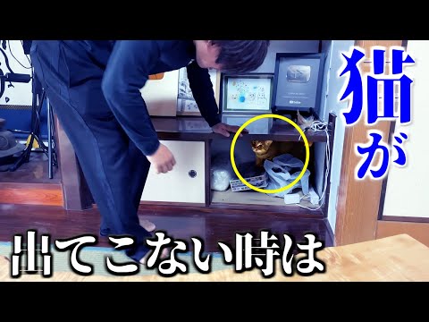 隠れたみーちゃんをおびき寄せる裏技！