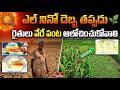 ఎల్ నినో ఎఫెక్ట్.. ఈ సారి రైతు జాగ్రత్త పడాల్సిందే | El Nino Effect on Agriculture | hmtv Agri