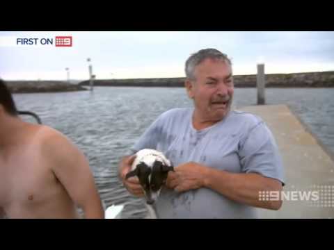 Fisherman gets reunited with his lot dog. Tears of joy ensued.