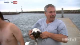 Fisherman gets reunited with his lot dog. Tears of joy ensued.