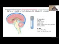 Neurological symptoms during and after COVID-19: What can we learn from the cerebrospinal fluid?