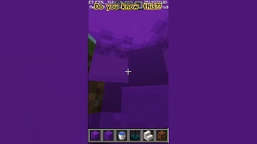Living inside a shulker #Minecraft shorts @The-Cuber-Me1208
