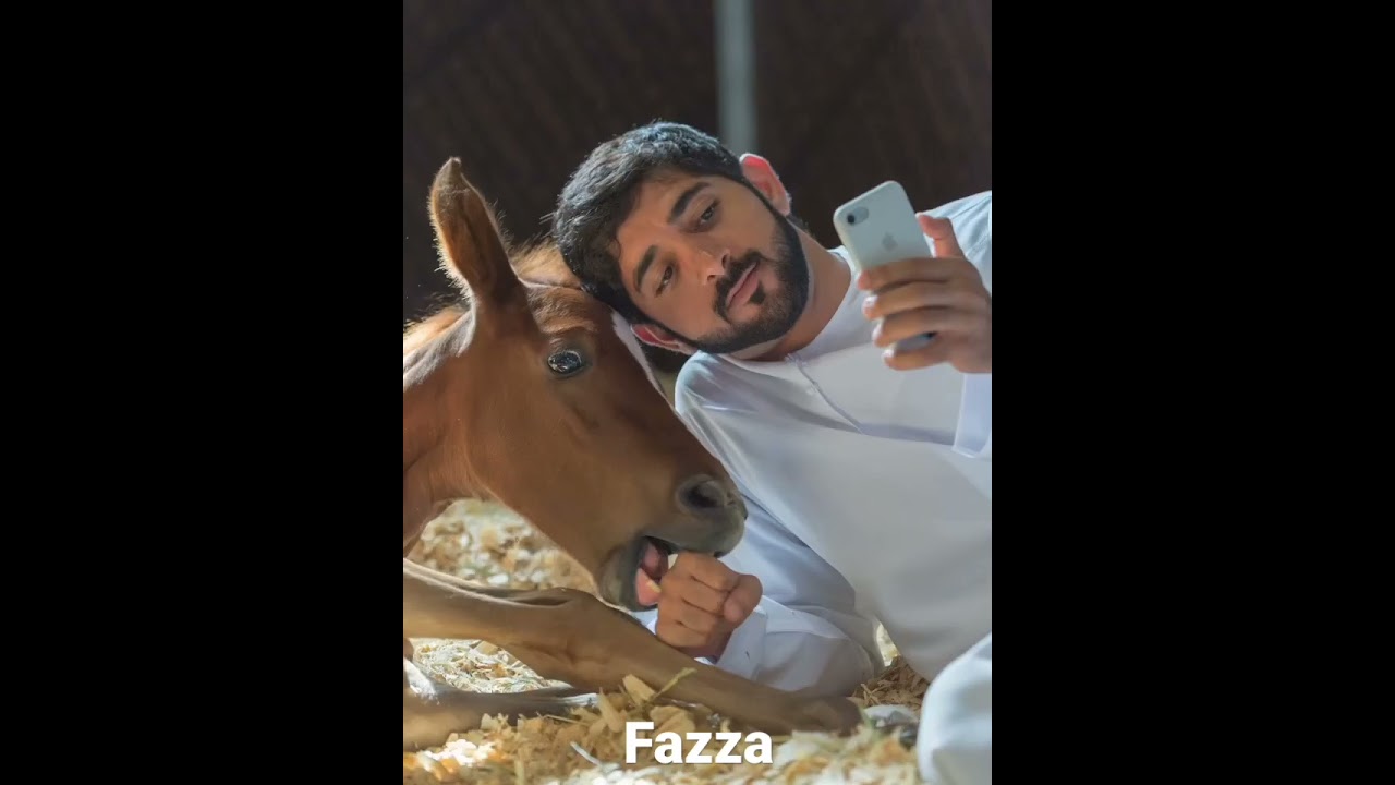 Fazza with his Animals💙Sheikh Hamdan Bin Mohammed Bin Rashid Al Maktoum☺️Crown Prince of Dubai🤴🇦🇪❤️