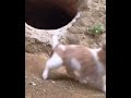 بيننا صديق لا يعرف الكلل