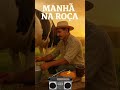 “Manhã na Roça #sertanejo #sertanejouniversitario #musica #modao #modadeviolacoisasdaroça