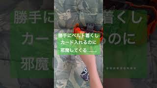 仮面ライダーチョコで神引き？？キラキラのホッパーが大量発生！！！！うわぁぁぉぁぉぁ