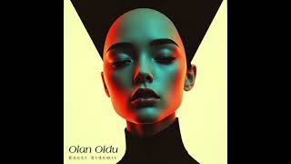 Olan Oldu
