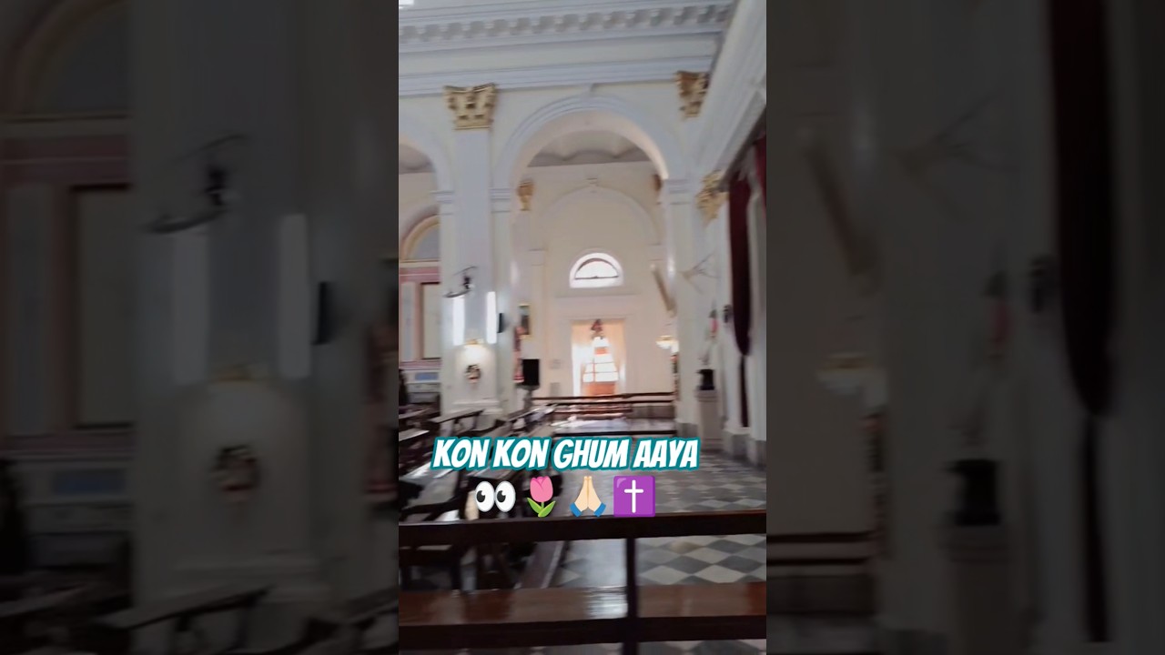 viral video trending 