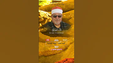 فبعث الله غرابا يبحث في الارض القارئ الشيخ السيد سعيد 
