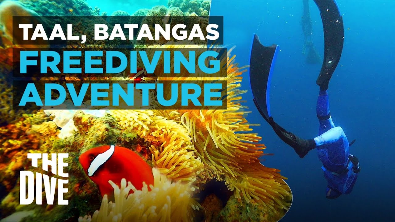 Freediving Adventure in Taal, Batangas The Dive YouTube