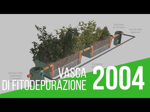 Video: Differenza Tra Biorisanamento E Fitodepurazione