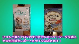 ペットシート比較！タイニープードルに最適なのは？【トイプードルのEnen君♪】