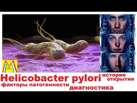 Video: Mod Populationsspecifik Og Personlig Behandling Af Helicobacter Pylori-infektion