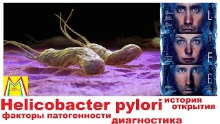 Helicobacter pylori. Хеликобактер пилори. Факторы патогенности. Диагностика