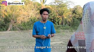 Sthepedua