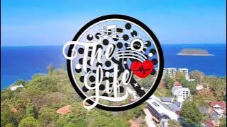 Fight Life (Ring Of Fire - Johnny Cash & Dj Serj Moldova remix)
