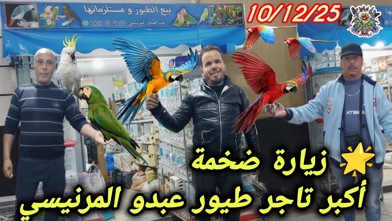 زيارة عند كبار التجار 💥 طيور طنجة بالسعر جد مناسبة 💰🐦 عروض عبدو المرنيسي لم تحدث من قبل 🐦💯