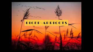 Bicep - Apricots (1 Hour)