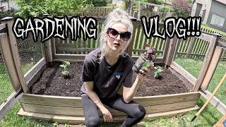 GARDENING VLOG!! 🌿🎃 My First Pumpkin Plant & Gothic Basil!?