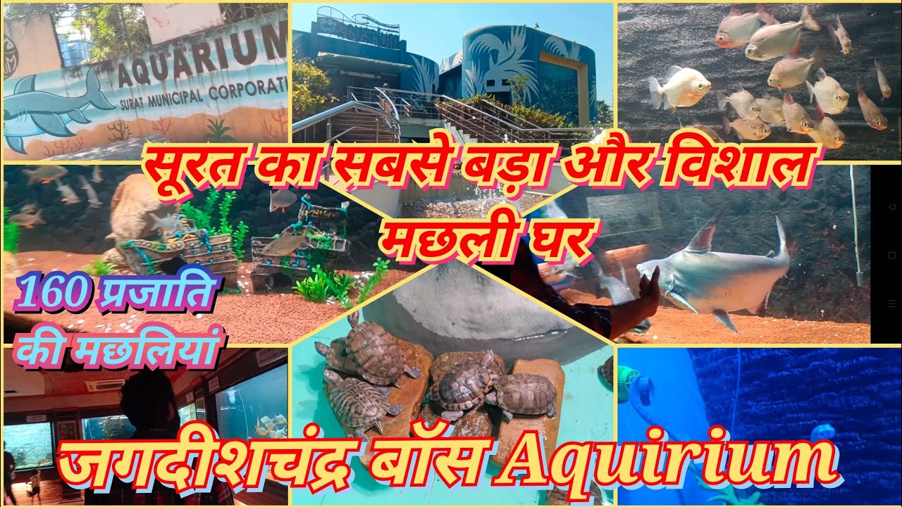 Surat Fish Aquarium Full Detail 2023 Jagdish Chandra Boss Surat