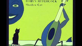 Watch Robyn Hitchcock Because Youre Over video