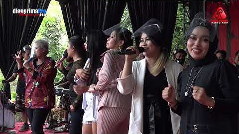 COCOTE TANGGA   ALL ARTIS