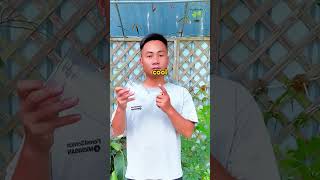 🌹 Grow Roses From Leaves! Secret Propagation Hack #Shorts #RosePropagation #GardeningTips #PlantHack