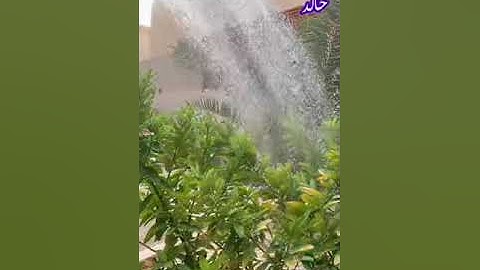 قراءة خاشعة من سورة هود - للقاريء عمر الدريويز