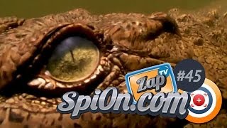 Le Zap TV de Spi0n #45