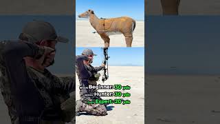 How far can you get a kill shot kneeling down? #hunting