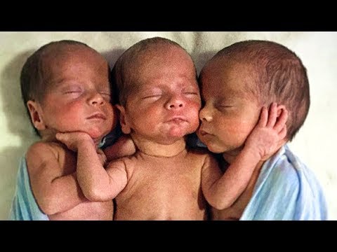 Video: Jak Vydržet Trojčata