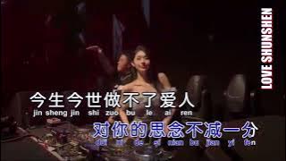 Xia bei zi zai Pei ni yong heng (下辈子再陪你你永恒 dj remix