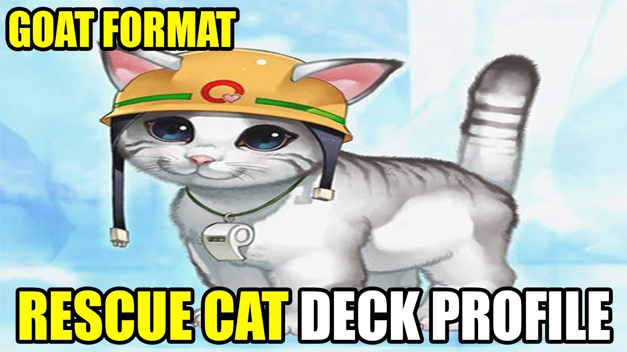 tcgplayer yugioh top decks Amazon.com: Atesswy Stray Cat Tarot main image 1