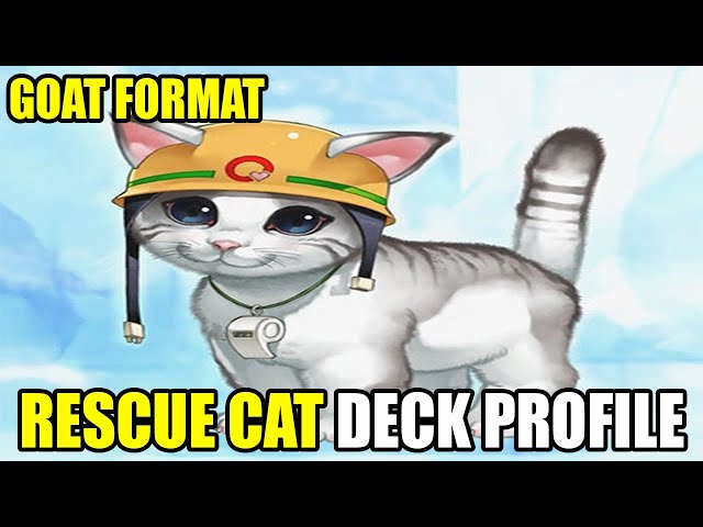 yugioh rescue cat deck Why is there featured in the new Pack? : r/masterduel Rescue Cat is well Trying Rescue Cat, Might Be