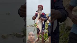 #fishing #bigfish #villagelife #fish #handfish