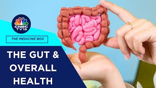 The Importance Of Gut Health: Dr. Amit Maydeo Explains The Link Between The Gut & Overall Health