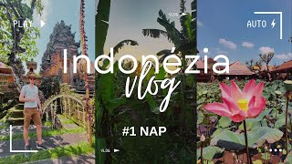 Ubud, Bali első benyomások - Indonézia 1. nap