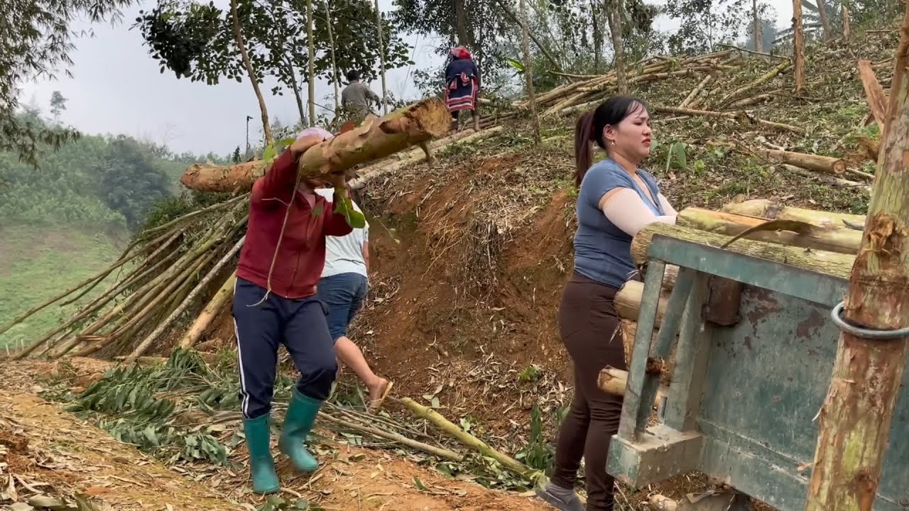 Farm Truck on Steep Hills: Girl’s Driving Skills Deliver Firewood to the Camp