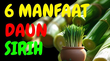 6 MANFAAT DAUN SIRIH KESEHATAN LANSIA