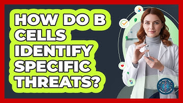 How Do B Cells Identify Specific Threats?