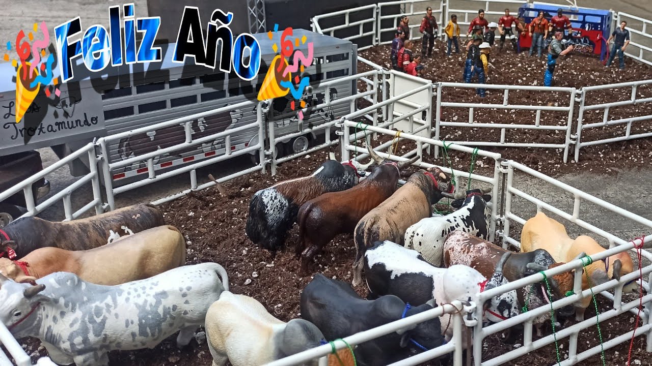 Mini Jaripeo🔥Serrojaso de año🔥Rancho Nuevo🐂