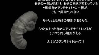 日本代表の古生物-ニッポニテス-3D化PJ 彼らの魅力を全世界へ！（日本