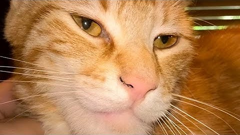 My part in "Denigrate". Hosted by @shdf610