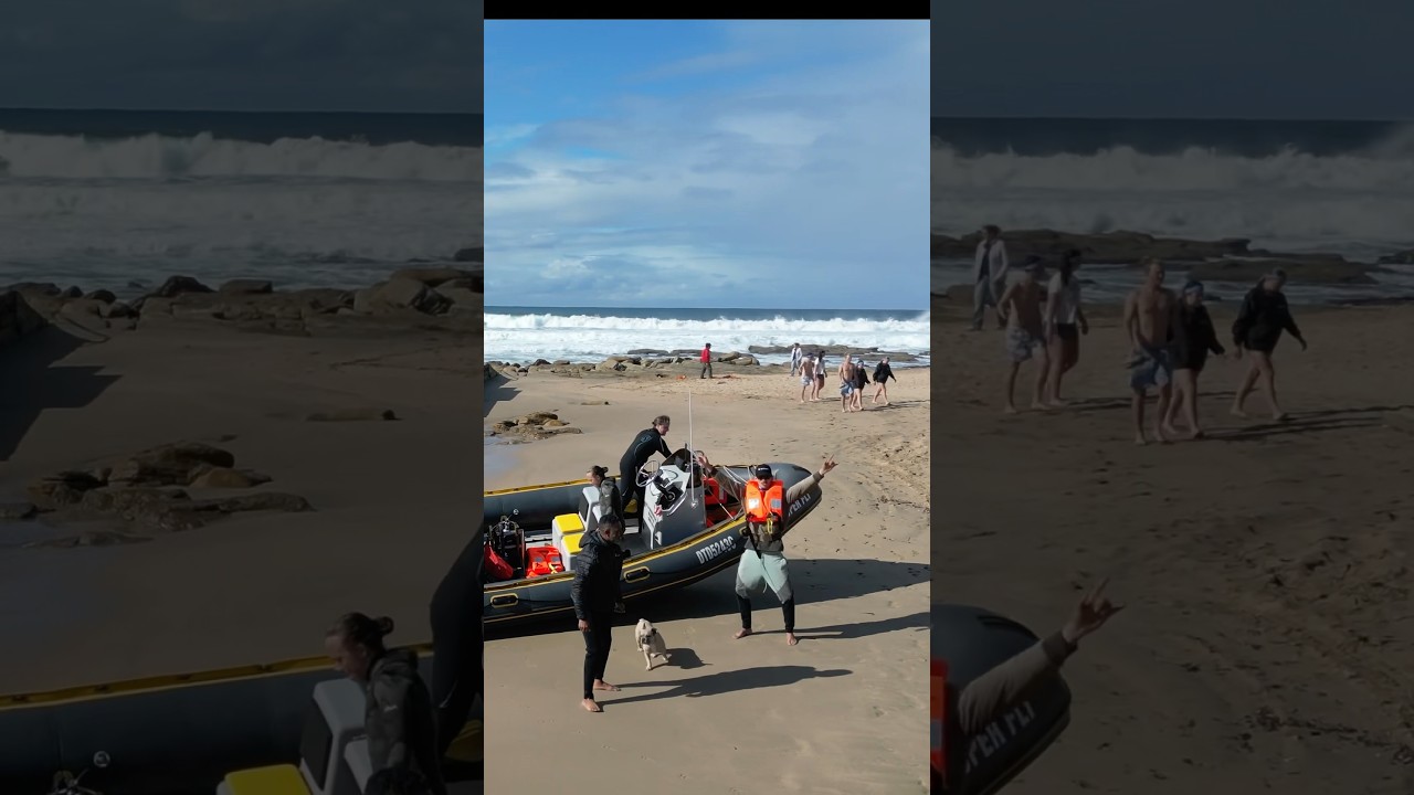 Diving so good even the captain be dancing!!! Protea Banks, South Africa